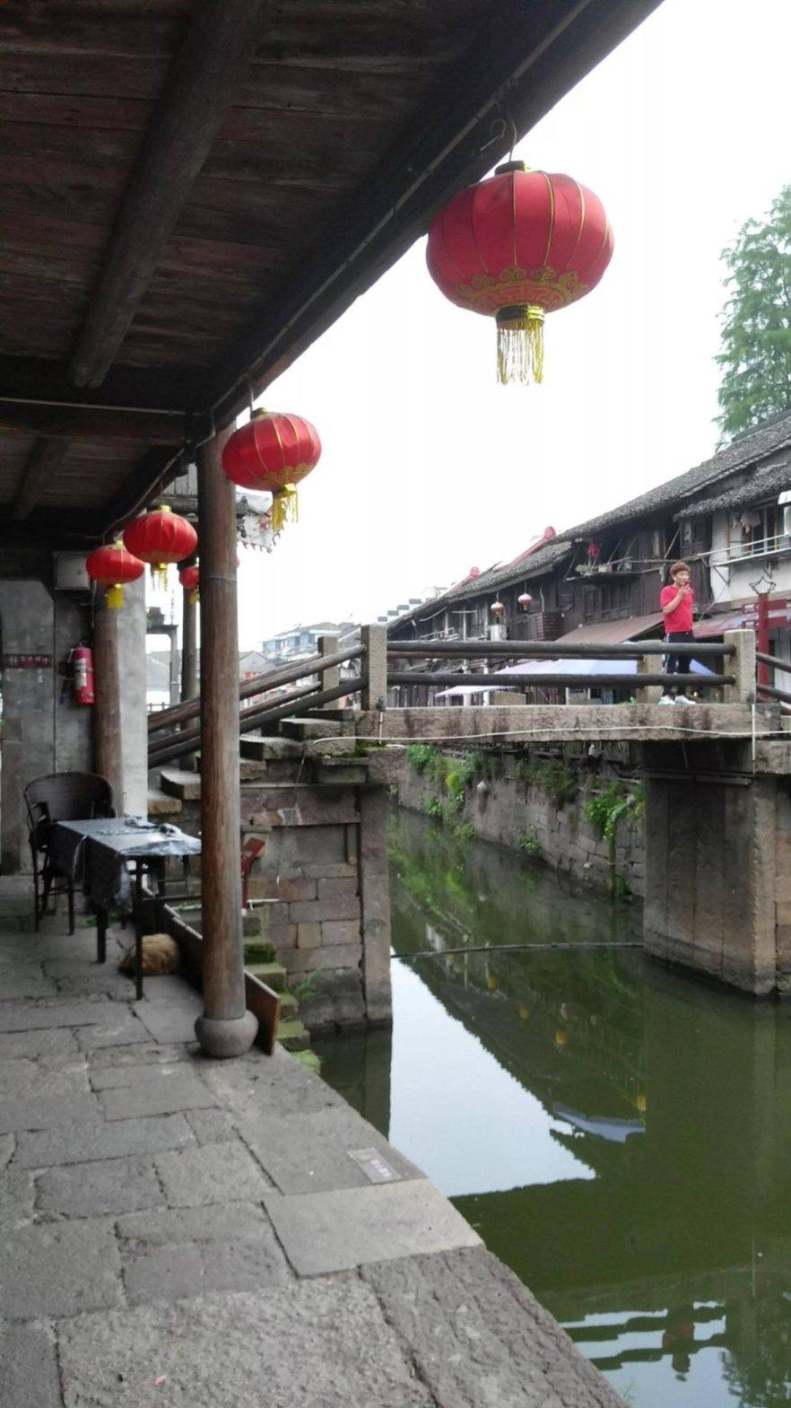 拯救巧虎4